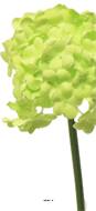 Fleurs de Viorne artificielles en tige, H 30 cm Vert - BEST