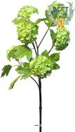 Branche de Viorne artificielle, 6 têtes, H 60 cm Vert - BEST