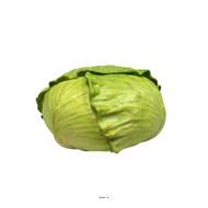 Faux Chou blanc pour décors D 19 cm