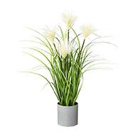 Herbe artificielle touffe en pot avec ses chatons H 50 cm