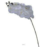 Branche de fausse orchidée pour décoration L 100 cm Blanc 