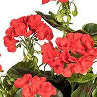 Geranium artificiel en piquet 40 cm 7 tetes superbes feuilles exterieur Rouge