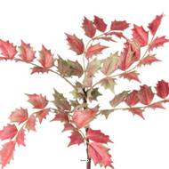 Branche de Mahonia artificielle H 70 cm D 35 cm 6 grandes feuilles vert rose