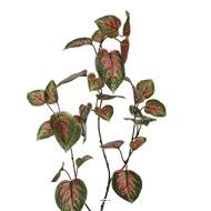 Tige de coleus artificielle, H 94 cm, L26 cm Vert-rose