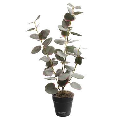 Eucalyptus artificiel en pot, H 47 cm, D 23 cm Vert-rose