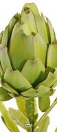 Artichaut artificiel sur tige H 38 cm Fruit D 8 cm en tissu