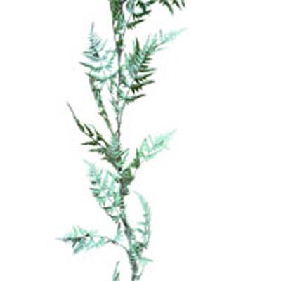 Guirlande de Fougère Plastique Verte artificielle Lg 205 cm D 23 cm 30 feuilles