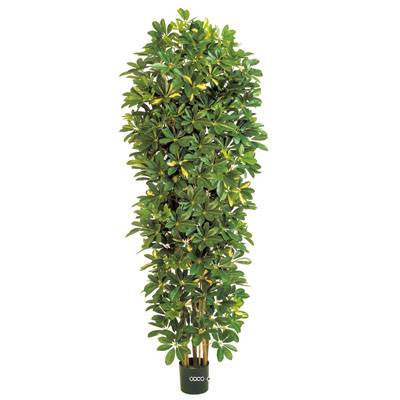 Schefflera artificiel Colonne H 195 cm D 70 cm 2820 feuilles en pot