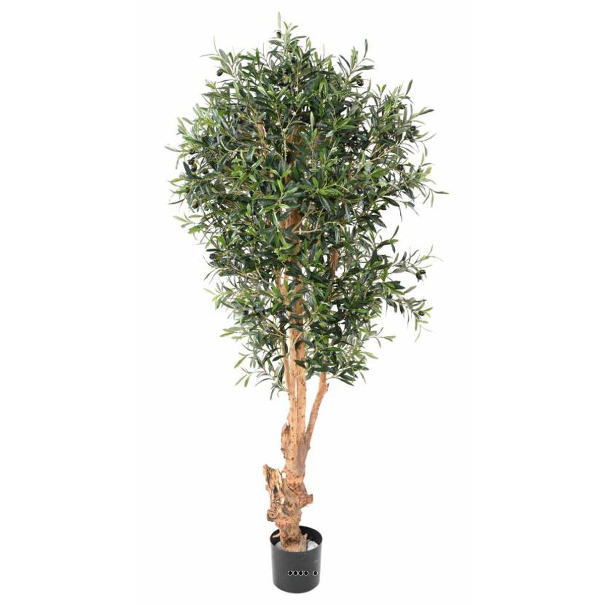 artificielles Olivier en pot tronc noueux 150cm du site Artificielles.com