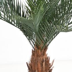 Palmier Phoenix Artificiel H130 cm D165 cm 18 palmes en pot extérieur