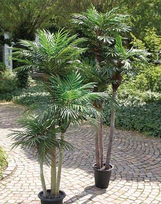 Palmier Phoenix Artificiel 3 troncs en pot H 150 cm