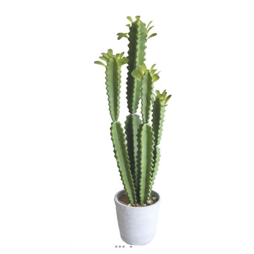 Euphorbe Trigona Succulent plante artificielle en pot Beton Mousse PU H 71 cm Vert