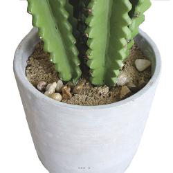 Euphorbe Trigona Succulent plante artificielle en pot Beton Mousse PU H 71 cm Vert