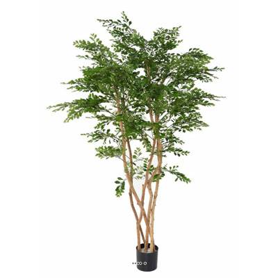 Acacia Artificiel 5 Troncs Naturels H 180 cm D 100 cm en pot