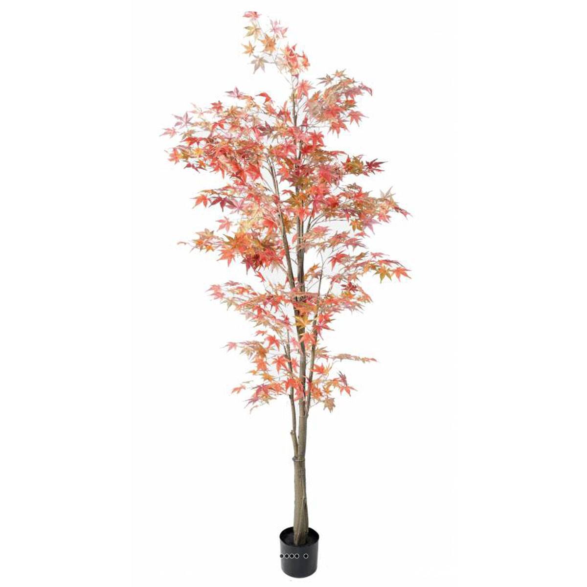 artificielles Aralia Arbre Artificiel| Artificielles.com