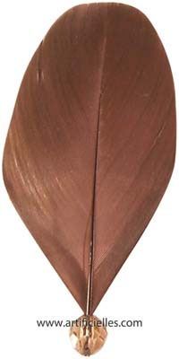 Plumes Perlees Chocolat x 6 pieces 4 x 8 cm