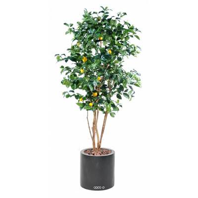 Citronnier factice tronc naturel en pot et fruits H180cm Jaune citron
