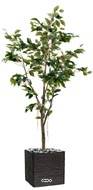 Ficus Benjamina Artificiel tronc PE en pot superbe H150 cm D80 cm Vert