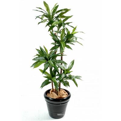 Dracaena artificiel 3 troncs en bois naturel en pot  H 95 cm Vert