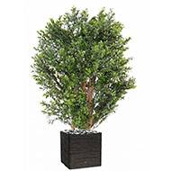 Buisson de buis artificiel en pot plastique anti-UV extrieur H 70 cm L 50 cm