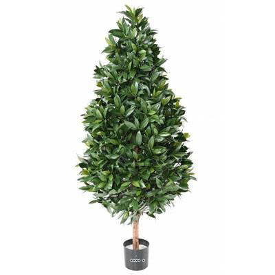 Laurier artificiel sur tronc pour extérieur forme cône H 150 cm L 70 cm
