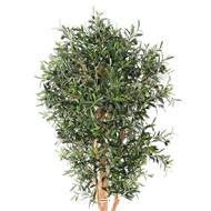 Olivier artificiel avec olives en pot tronc bois noueux H 150 cm Vert D 60 cm