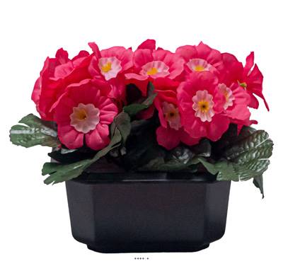 Vasque Carrée de Primevères fleurs artificielles pour le cimetière H 13 cm Lg 17 cm Fushia
