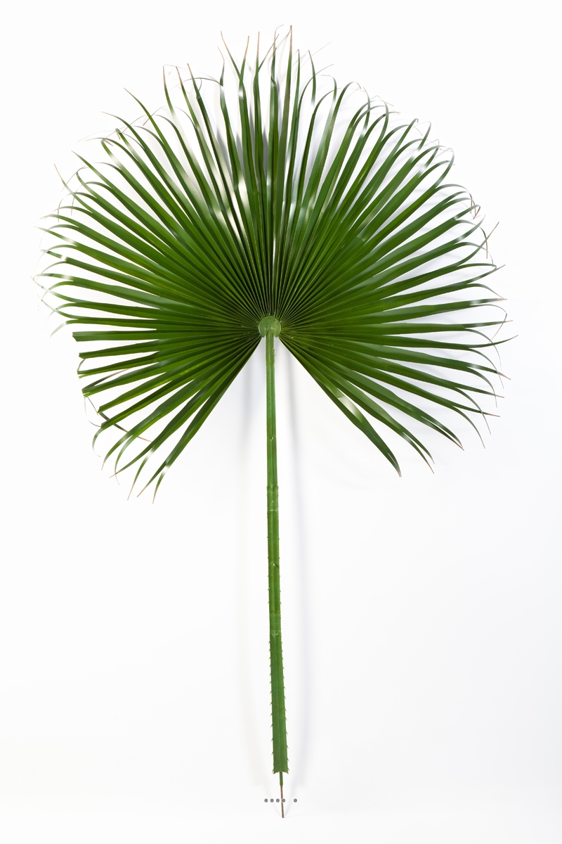 LUXUEUX DÉCOR DE Mariage Simulé Feuille D'eucalyptus Soie Verte 45 Cm Lot De 1 EUR 19,49