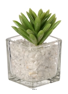 Agave artificielle succulente cactée en pot verre et cailloux blanc