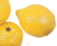 Citron jaune artificiel luxe en lot de 3 Plastique soufflé H 80x60 mm