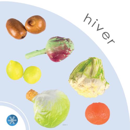 Lot 11 Légumes et fruits artificiels d'Hiver en plastique soufflée