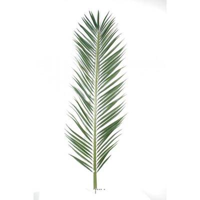 Feuille de palmier Phoenix artificielle en tergal H 185 cm Vert