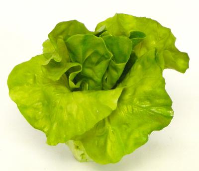 Salade coeur de laitue legume artificiel H 16 cm et D 16 cm Latex
