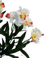 Bouquet d'Orchidées artificielles 21 fleurs H33 cm superbe Crème