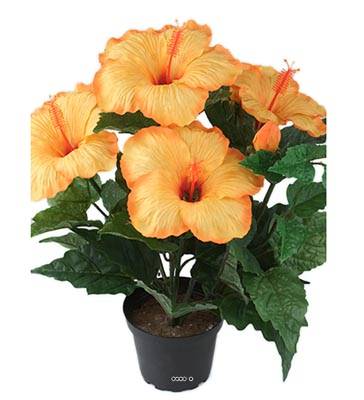 Hibiscus artificiel en pot H 38 cm 6 têtes Orange Safran