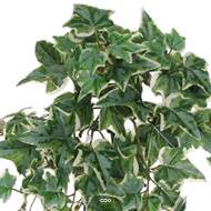 Chute de lierre artificiel 9 ramures ANTI-UV L 50 cm Blanc-vert