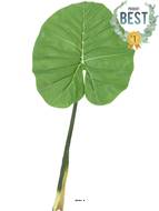 Feuille de Colocasia gante artificielle, H 95 cm - BEST