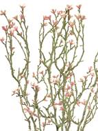 Jasmin artificiel en branche, 4 ramures, H 44 cm,  Rose - BEST