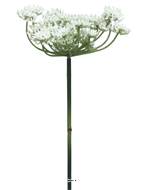 Fleur de carotte sauvage artificielle en tige, H 72 cm Crème - BEST
