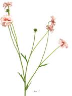 Centaurée artificielle, 3 ramures, H 64 cm Rose-crème - BEST
