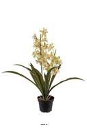 Orchidée cymbidium artificielle en pot, H 45 cm Crème vert