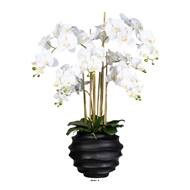 Orchidée factice 7hampes vase résine noir H105cmD75cm touché réelCrème