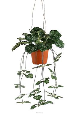 Saxifrage artificiel retombant en pot suspendu, L 35 cm, D 23 cm