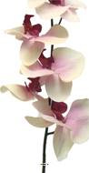 Tige d’orchidée phalaenopsis artificielle, H78 cm Pourpre-blanc - BEST