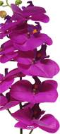 Tige orchidée phalaenopsis faux 9fleurons Real touch H77cmPourpre-BEST