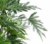Philodendron Selloum artificiel en pot H75 cm