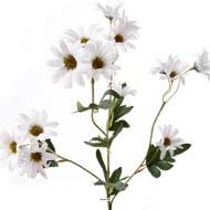 Marguerite artificielle en piquet H 95 cm Blanche