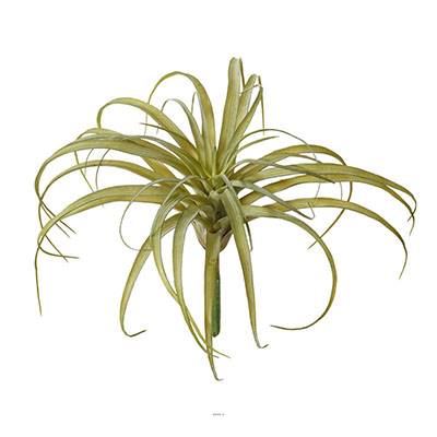 Tillandsia artificiel en piquet H 23 cm D 30 cm vert aloe