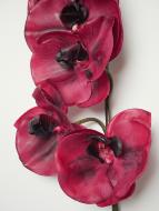 Superbe tige d'orchidée artificielle toucher réel 10 fleurons 110 cm Pourpre