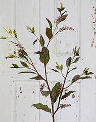 Branche de phytolacca artificiel H 150 cm 